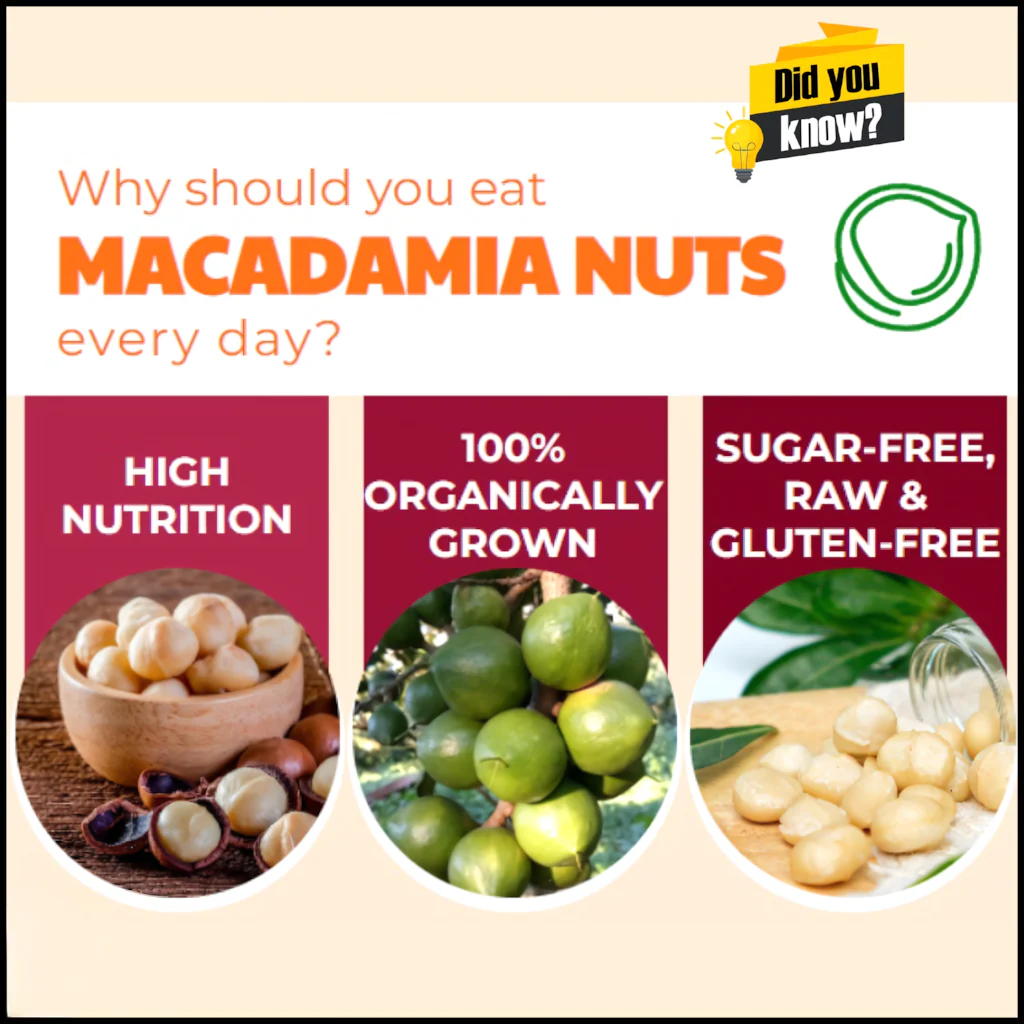 Dr. Pinoca Roasted Macadamia Nuts – Milk Flavor (180g) - Image 2