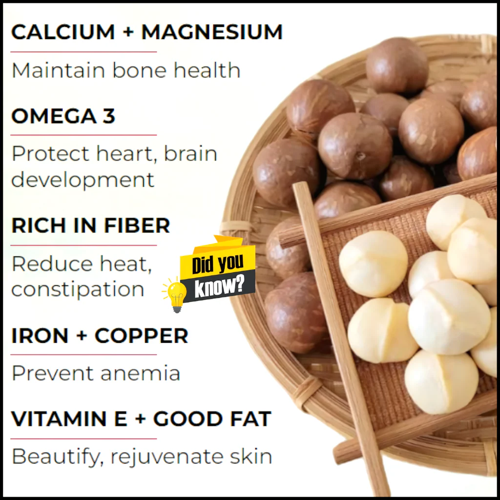 Dr. Pinoca Roasted Macadamia Nuts – Milk Flavor (180g) - Image 3