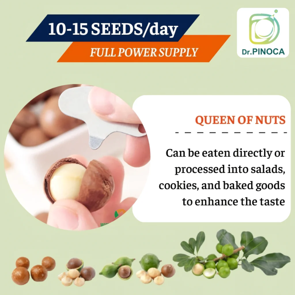 Dr. Pinoca Roasted Macadamia Nuts – Milk Flavor (180g) - Image 6