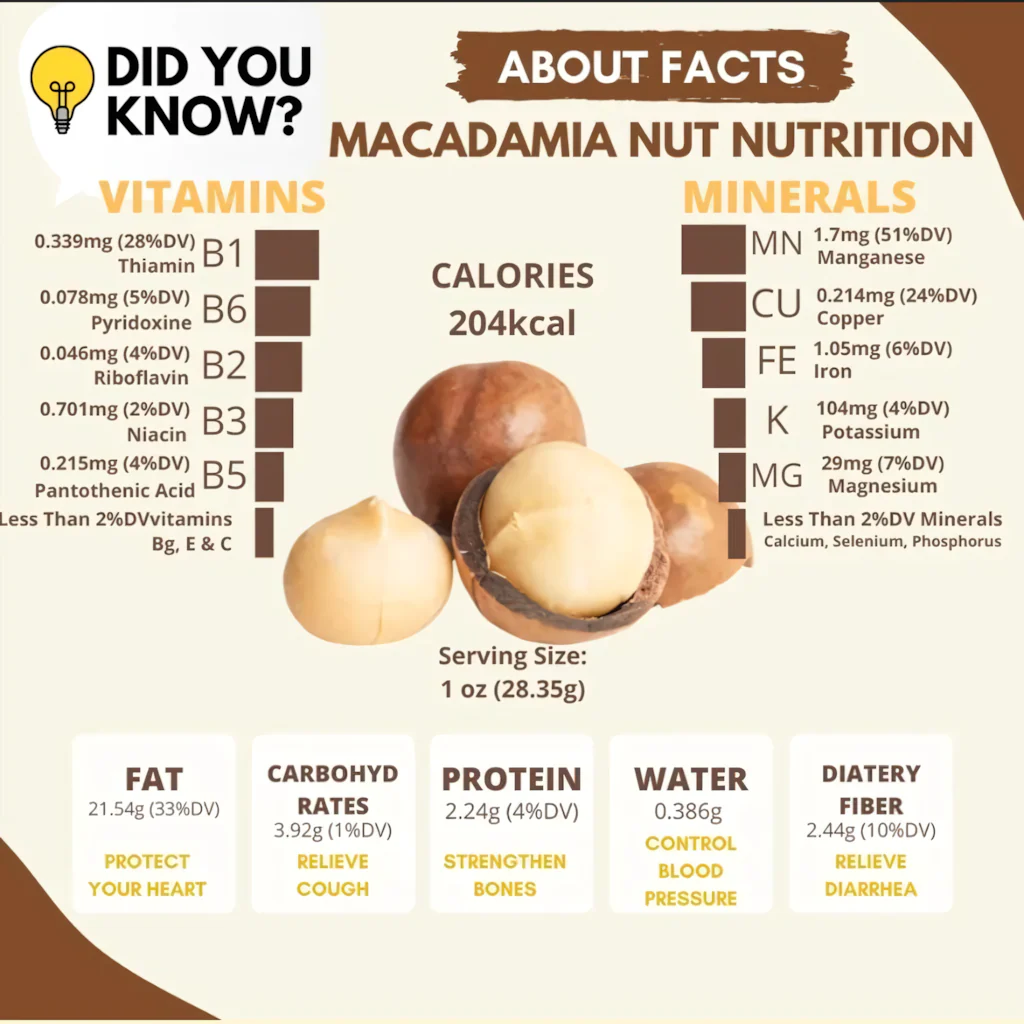 Dr. Pinoca Roasted Macadamia Nuts – Milk Flavor (180g) - Image 8